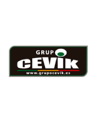 CEVIK